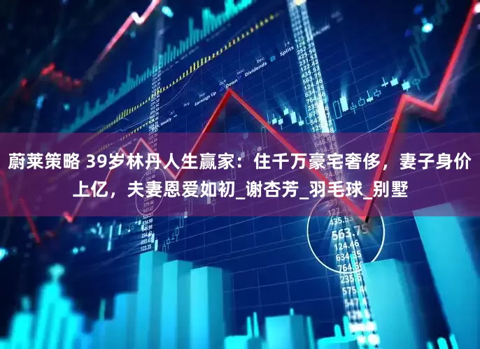 蔚莱策略 39岁林丹人生赢家：住千万豪宅奢侈，妻子身价上亿，夫妻恩爱如初_谢杏芳_羽毛球_别墅