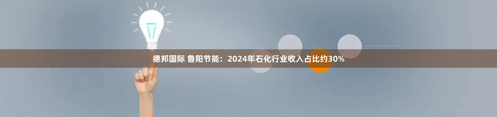 德邦国际 鲁阳节能：2024年石化行业收入占比约30%