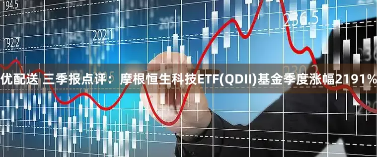 优配送 三季报点评：摩根恒生科技ETF(QDII)基金季度涨幅2191%